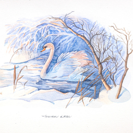 «Хрустальный берег»