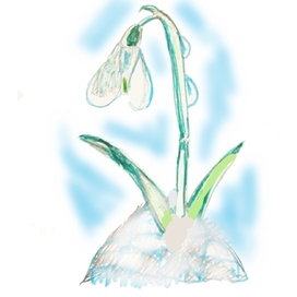 Подснежник