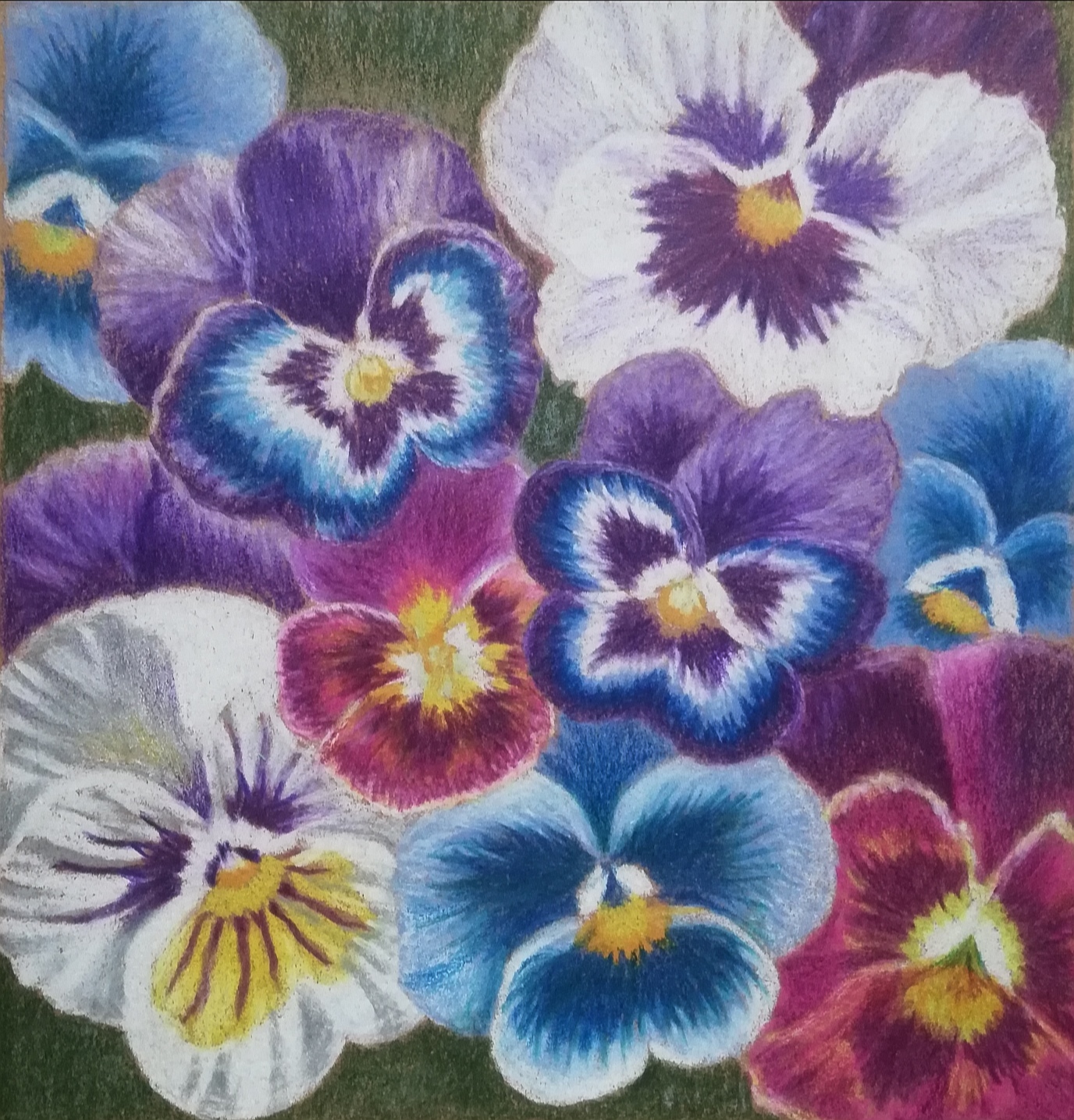 Весёлые фиалки