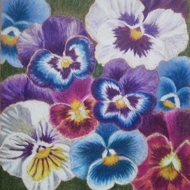 Весёлые фиалки 