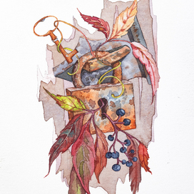 «Девичий виноград»