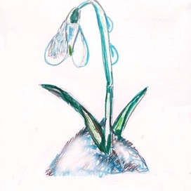 Подснежник