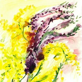 Ветер весны