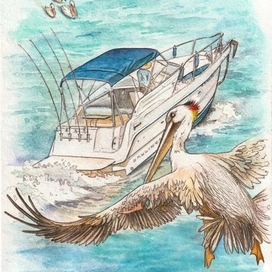 Ил. к рассказу Д. Черных и О. Чувакина "Пеликанья хирургия"