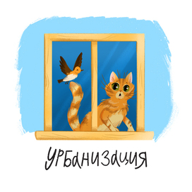 Котик на окне