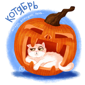 Осень и котики