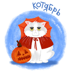 Осень и котики