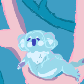 коала на дереве