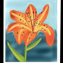 Лилия в тропиках