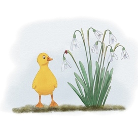 Первые знакомства