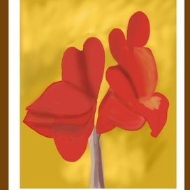 Цветок канны