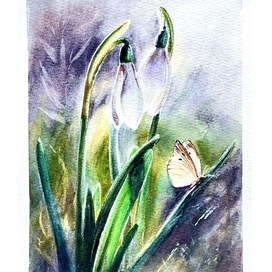 Подснежники