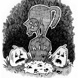 Безумный кот