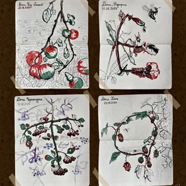 Серия иллюстраций "ЛЕТО"