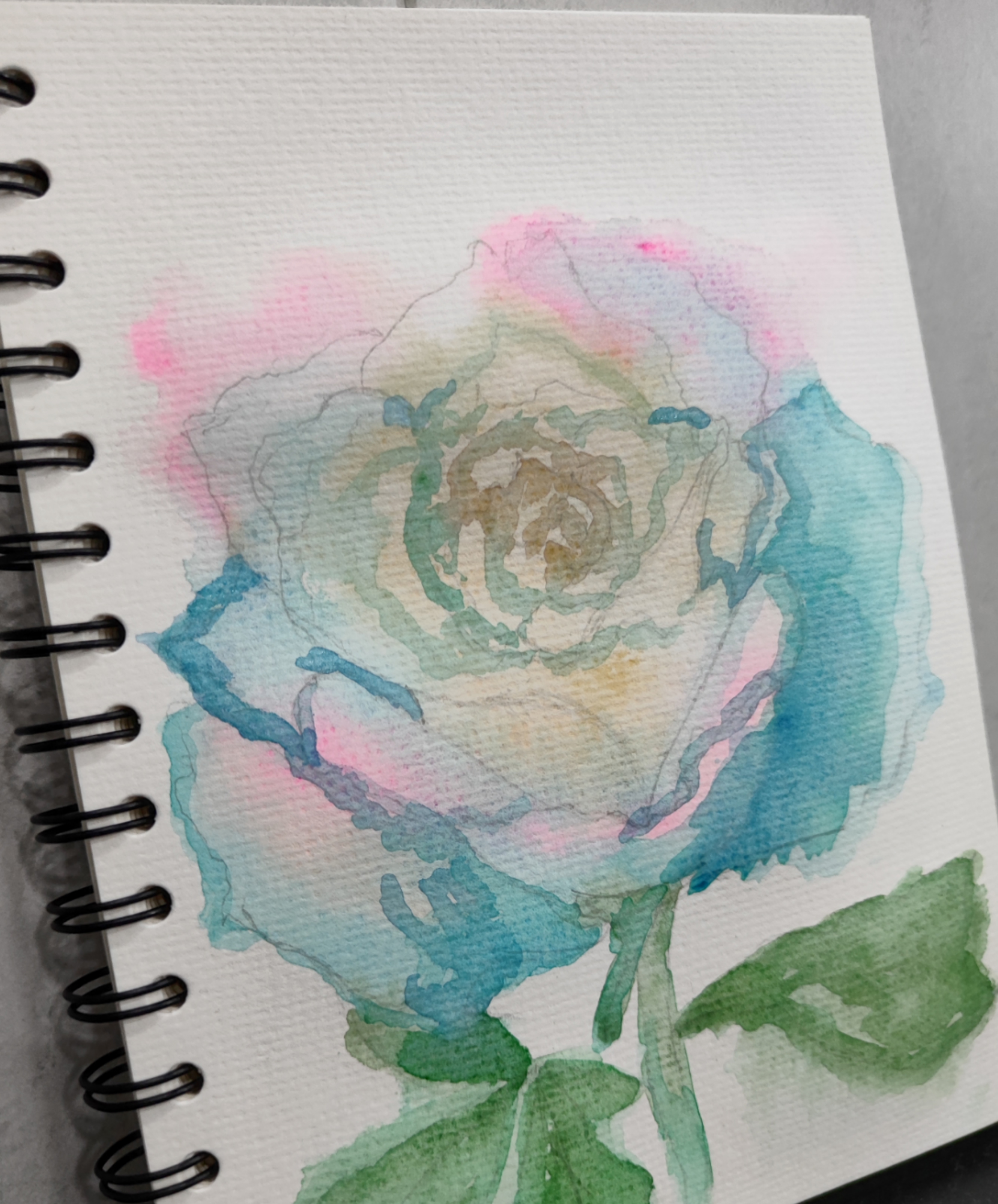 Акварельная роза