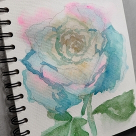 Акварельная роза