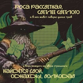 💥🌾🌱ВОЛКОДАВ🌱🌾💥