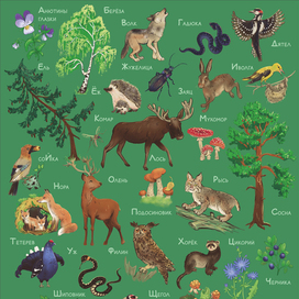 Лесная азбука