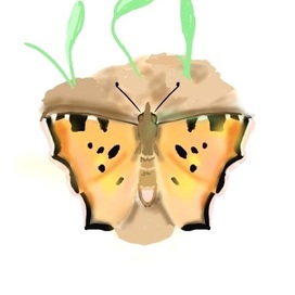 Первая бабочка мартовским днём...