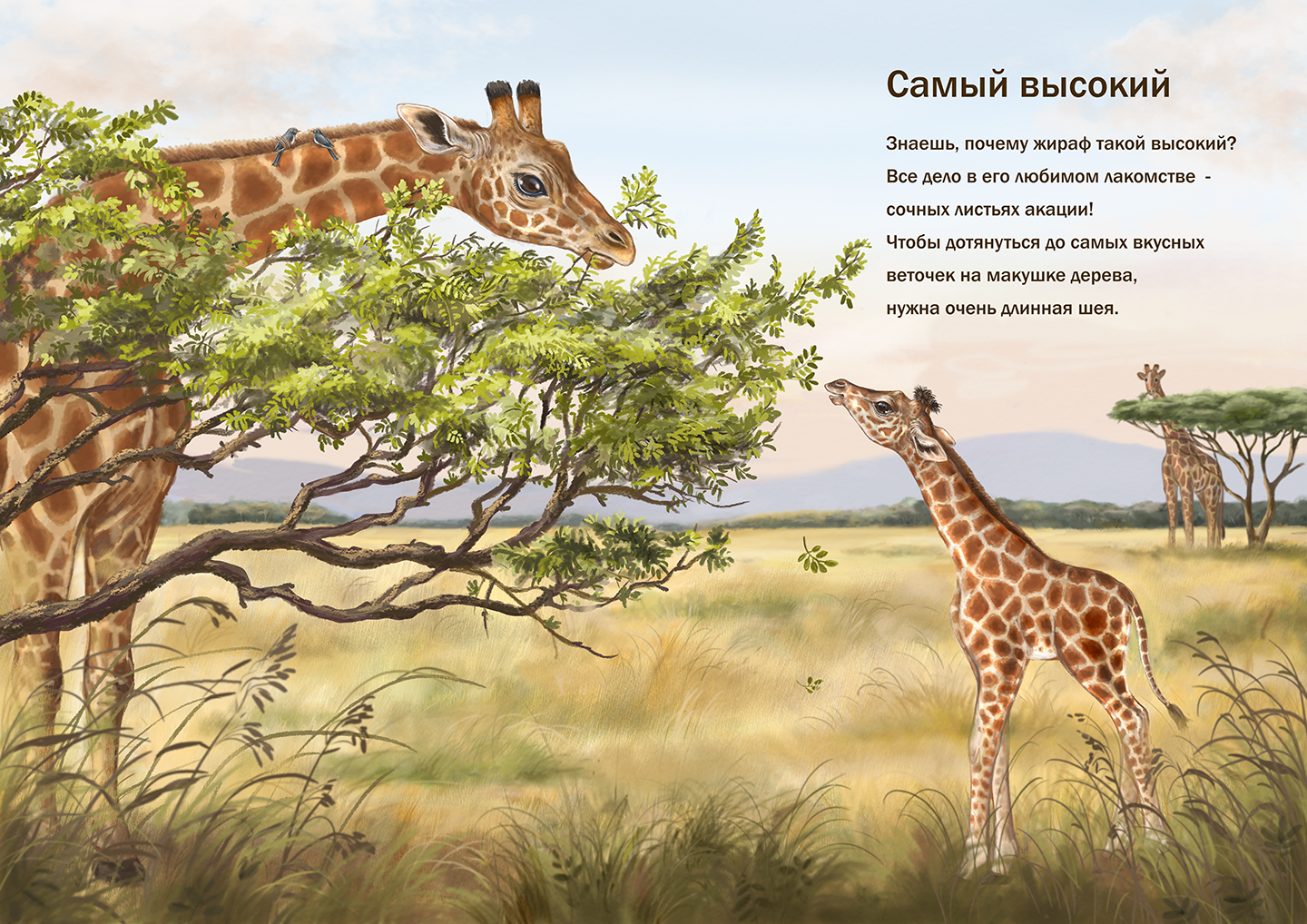 Самый высокий