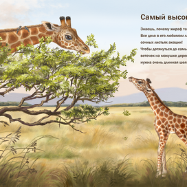 Самый высокий