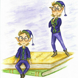 Маленький книжный эльф