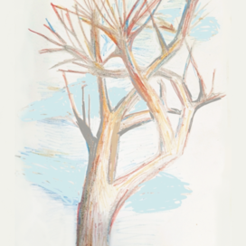 Весеннее дерево