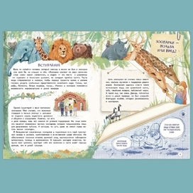 Книга Зоопарк. Звериная история