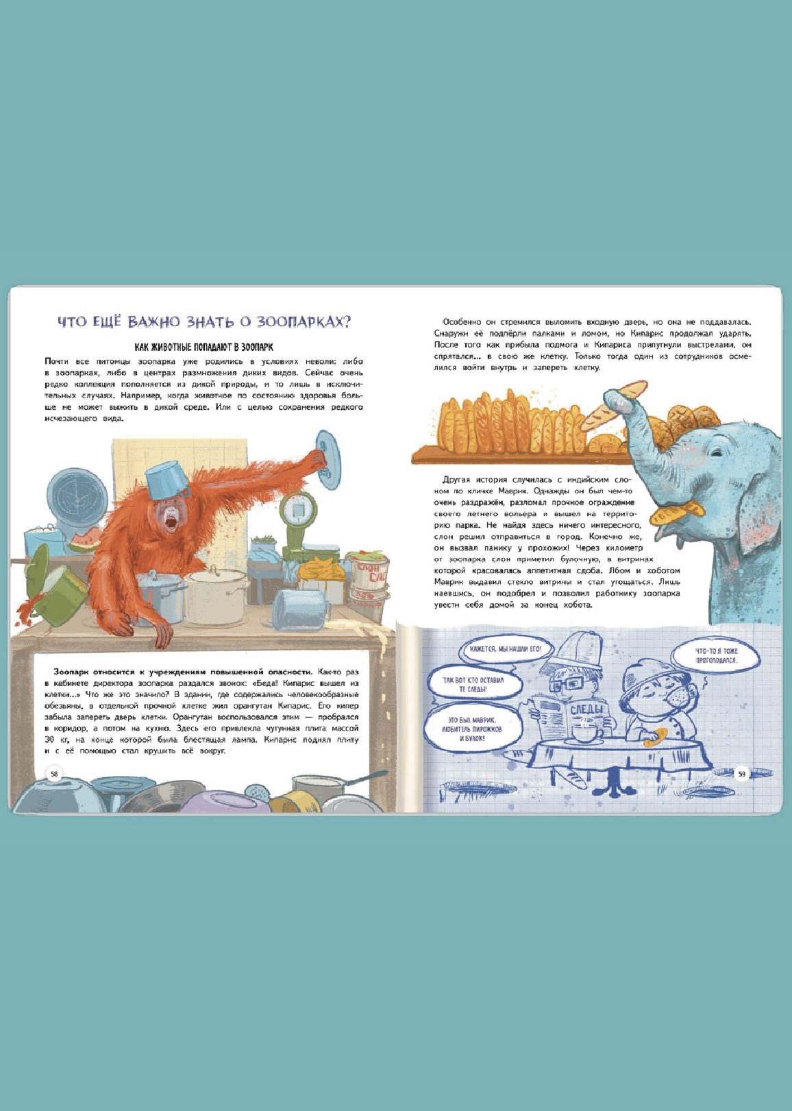 Зоопарк. Звериная история