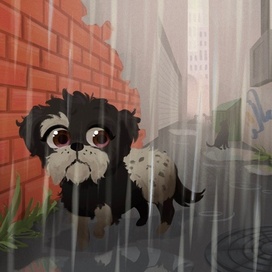 для книги "Brucie"