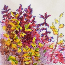 Осенние кусты 