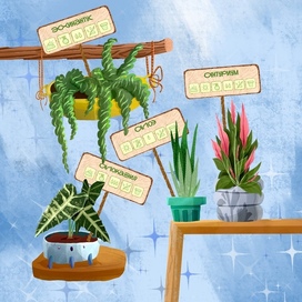 Цветы для цветочного магазина