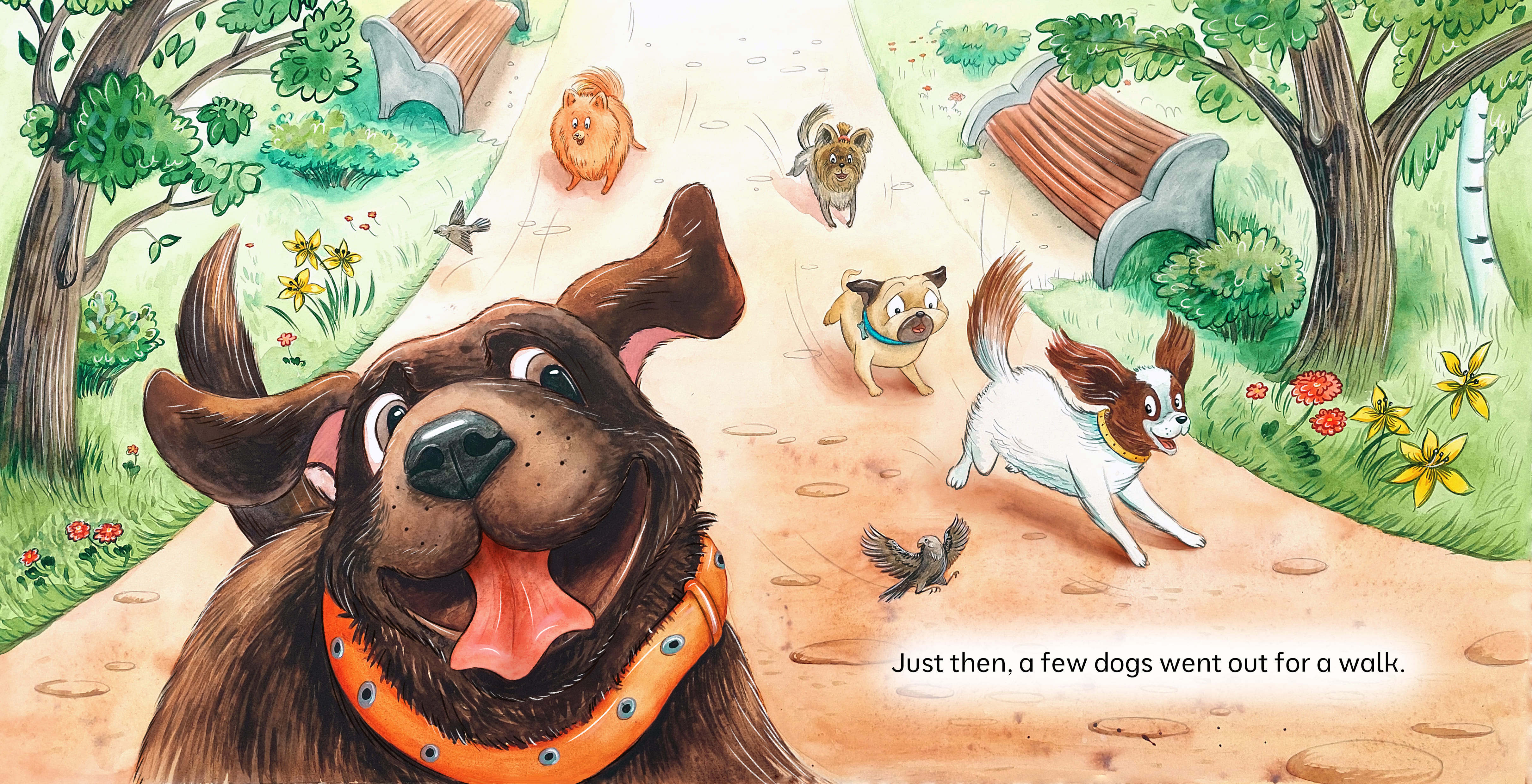 Четвероногие на прогулке