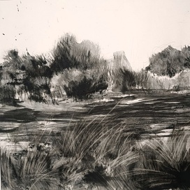 лесотехнический лесопарк