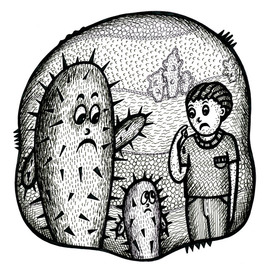 Кактусы колючие