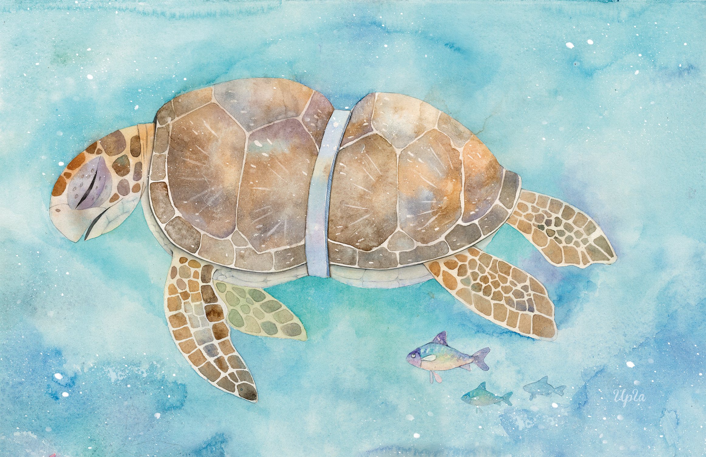 "Край света"