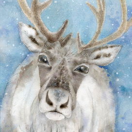 "Край света"