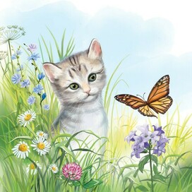 Бианки иллюстрация