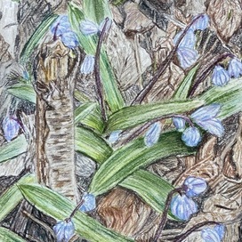 Самые первые