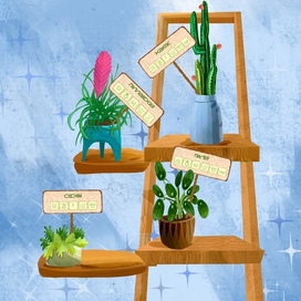 Цветы для цветочно магазина