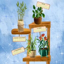 Цветы для цветочного магазина