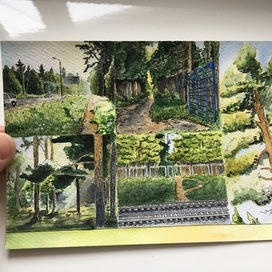 Комсомольская роща летом