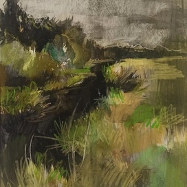 заливные луга