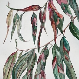 Ботаническая живопись