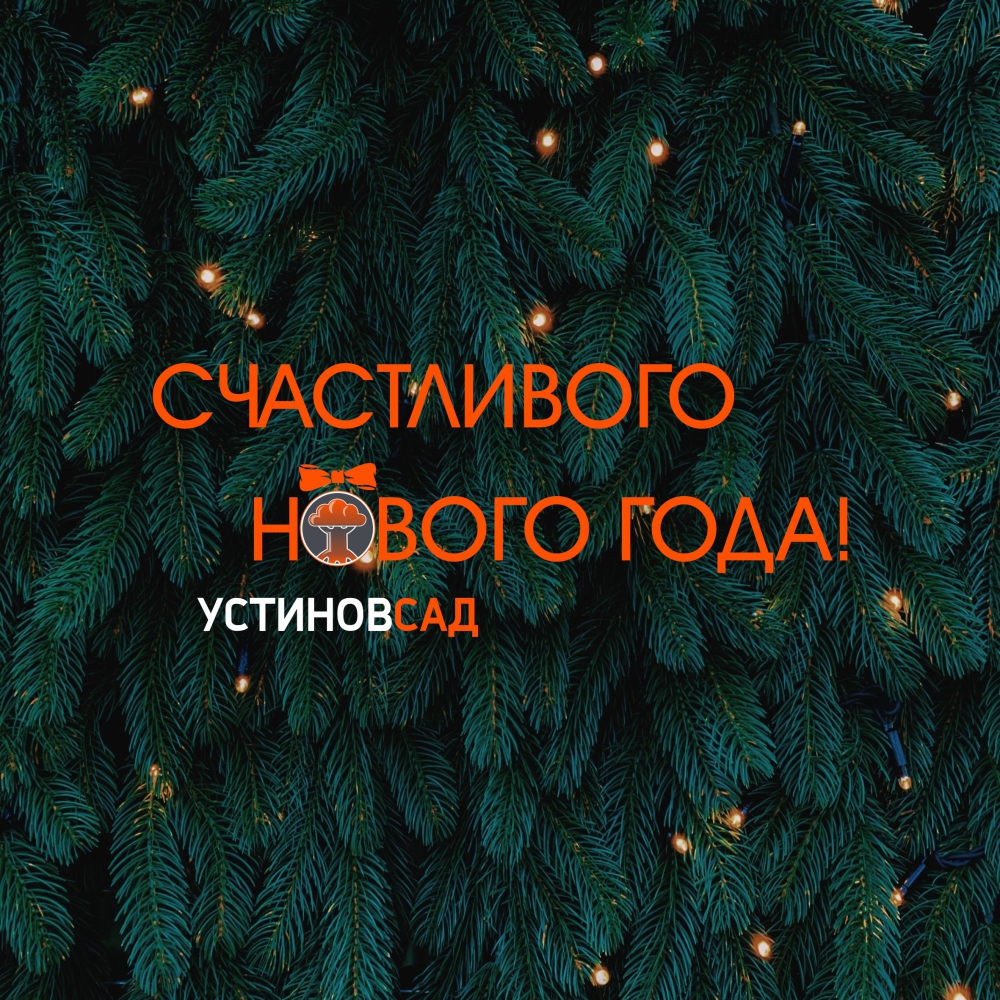 "УстиновСад" иллюстрация для соцсетей