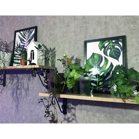 Зеленые листья