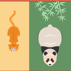 Китайские животные