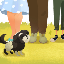 для книги 'BRUCIE'