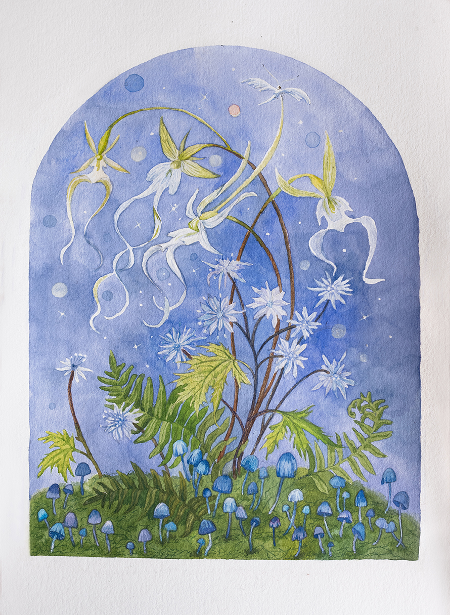 «Призрачная орхидея и японский коптис»