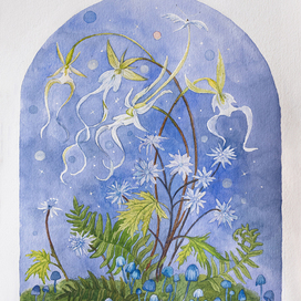 «Призрачная орхидея и японский коптис»